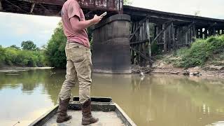 River catfishing with bank poles lots of fish !!