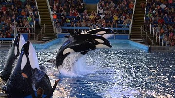 ATTN: Footage Use, Guidelines, and specific request to use video