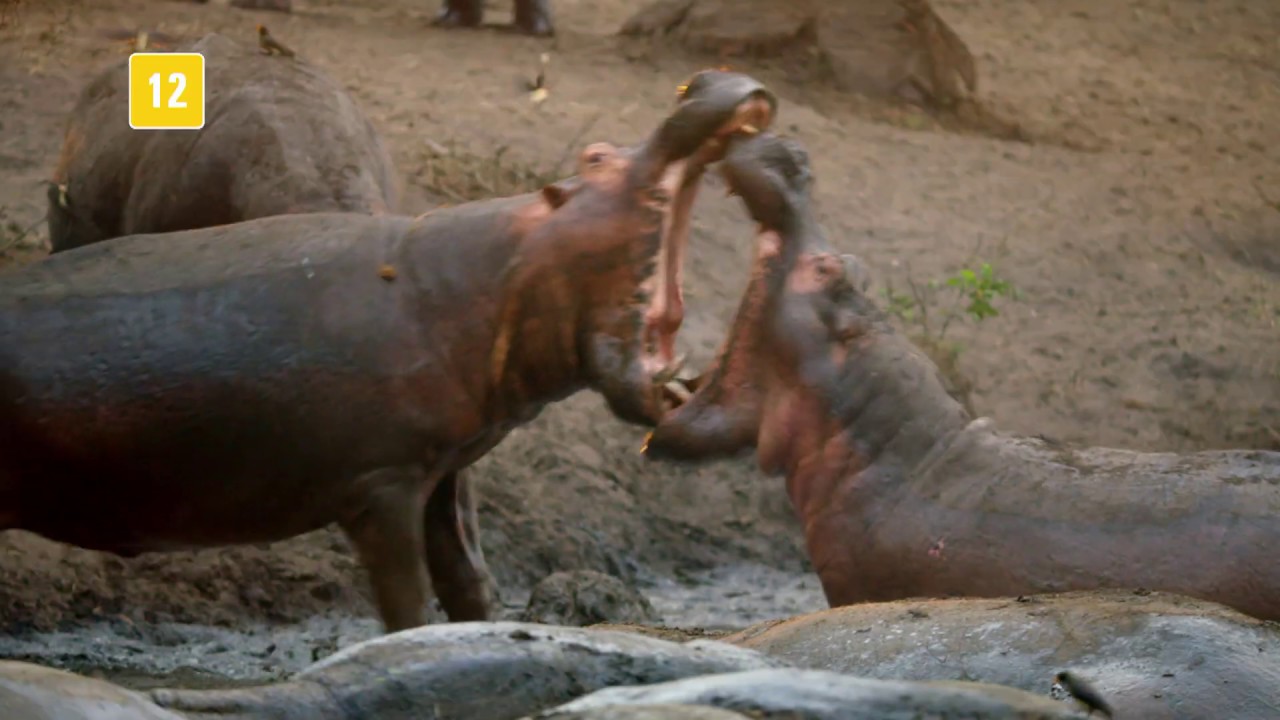 Trailer: Planeta Hostil