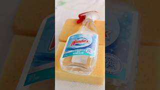 HIGHLY Requested WINDEX 🪟 #oddlysatisfying #asmr