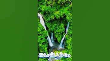 سورة التوبة و..كا..نك تسمعها لأ،،و.،ل مر،ة 💖💟💮..🏵️💔،،💕🌸بصوت الشيخ حمزة مد بو.ح ❣️.🏵️💗؛،،💓💔؛؛🌸💞