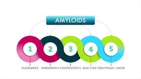 Hsp104 Disaggregation of Amyloid Fibrils