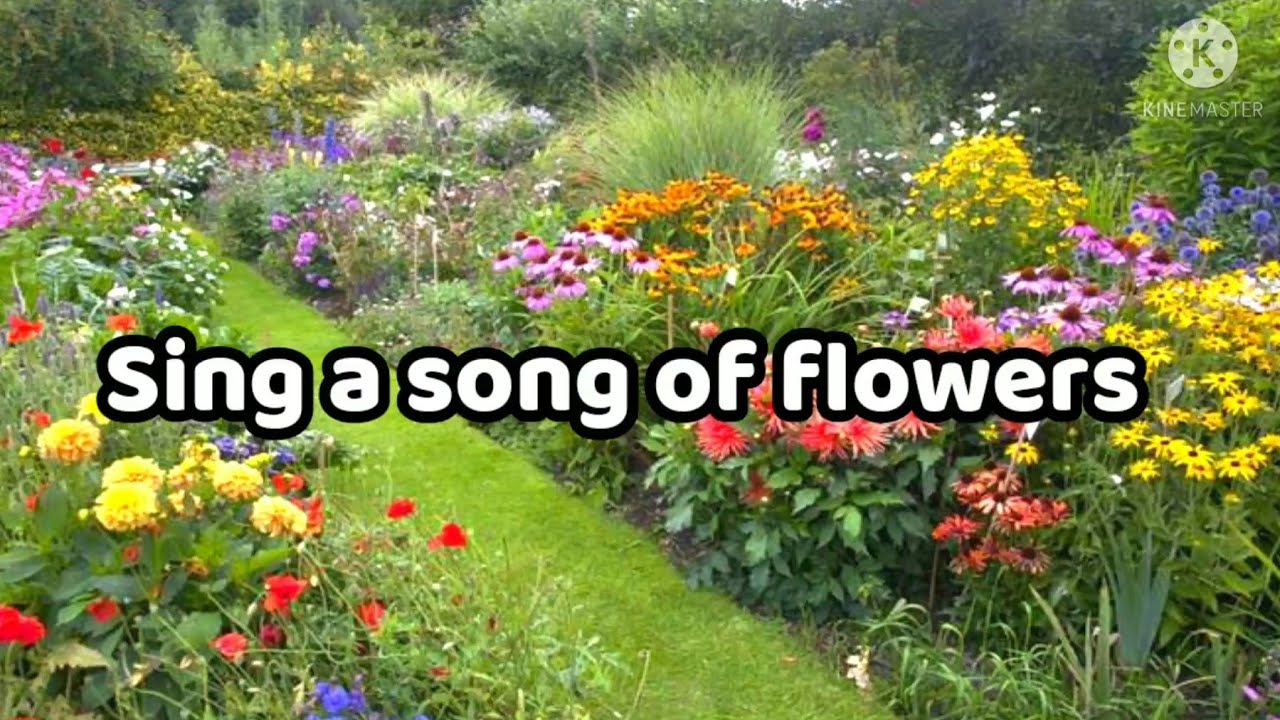 The Kiboomers Sing A Song Of Flowers "Sing a song of flowers" | Class: 3 English | Flower Song. - YouTube