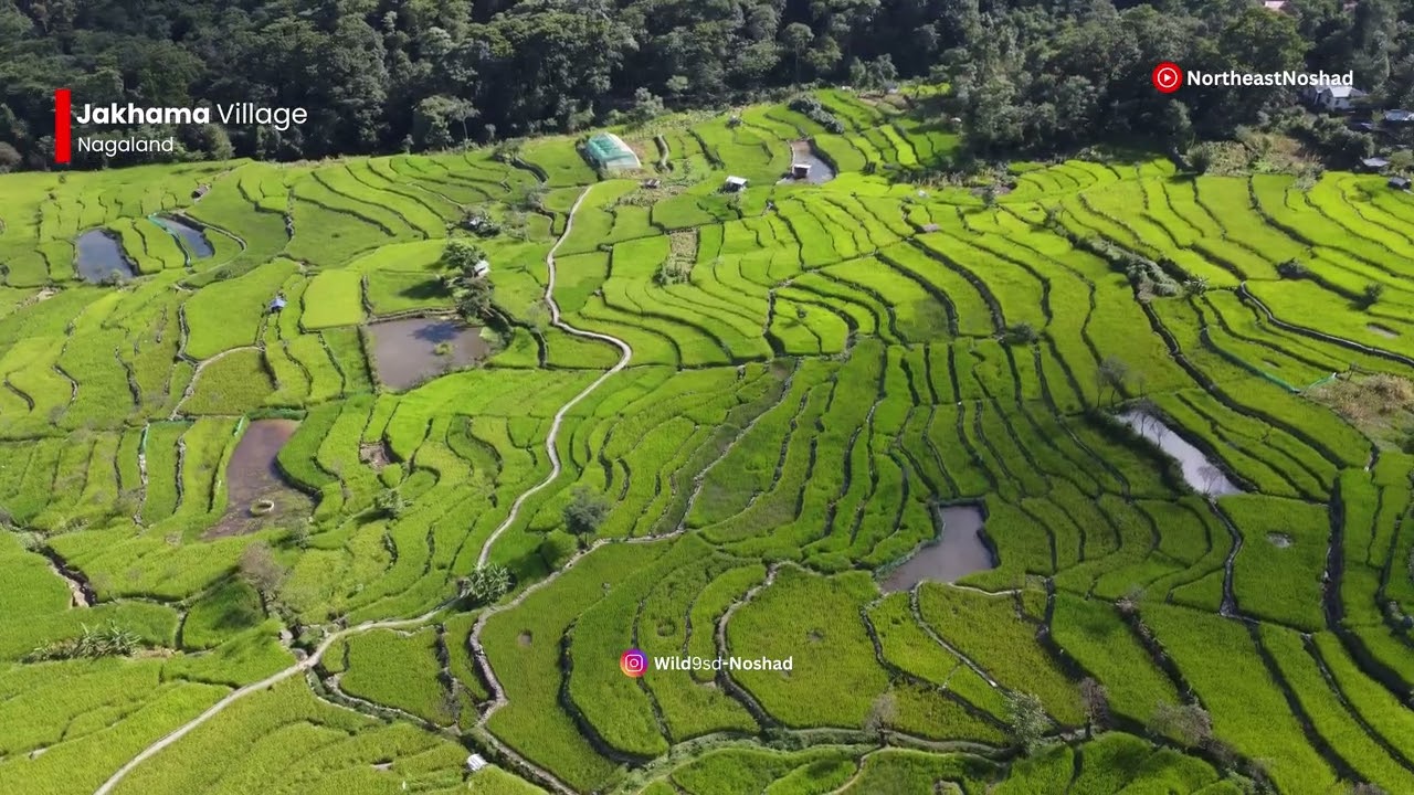 Experience Nagaland Tour Package