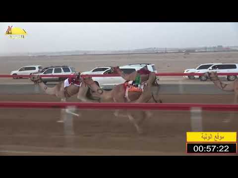 الشوط 4 شاهين ل حميد مطوع الظاهري شارة الشيخ محمد بن زايد الجمعة 2019 07 5 سويحان فطامين