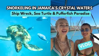 Snorkeling in Jamaica’s Crystal Waters 🌊 | Ship Wreck Sea Turtles & Pufferfish Paradise // vlog