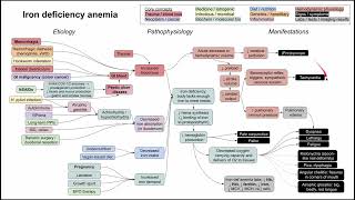 Iron deficiency anemia (mechanism of disease)