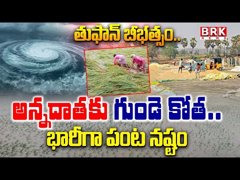 Montha Cyclone Damage In East Godavari District : తుఫాన్ బీభత్సం | BRK News - TV9