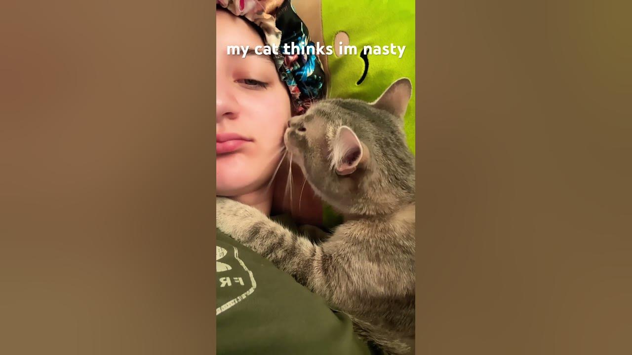 my cat wont stop grooming me lol cat catlover YouTube
