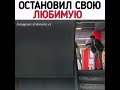 Пентхаус /отрывок