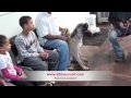 Dog training with South African Boerboel Mastiff - Part 1