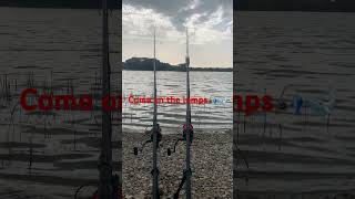 Everything changes with a beep ?? fishing fish monstercarp carpfishing carp nashtackle