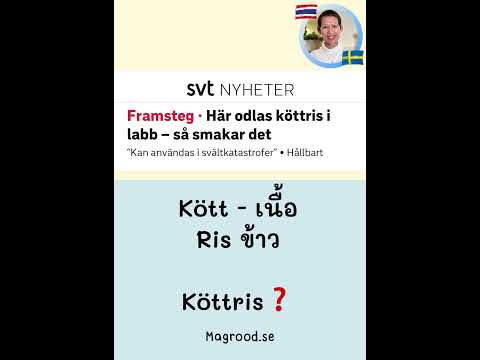 #köttris #ข้าว🇸🇪 #เนื้อ🇸🇪 #เรียนภาษาสวีเดน #สอนภาษาสวีเดน