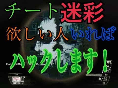 【COD.bo2】チート迷彩欲しい人いればハックします！