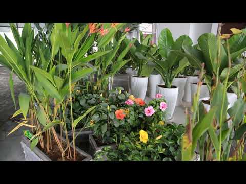 Video Dư án Cơ sở B (15 tầng) - Trường Đại học Kinh tế TP. - youtube