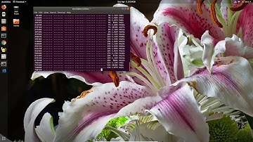Java 9 Installation in Ubuntu 17.10