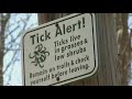 Tick season ramp-up raises concern regarding Lyme disease cases in PA