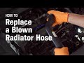 How to Replace a Blown Radiator Hose