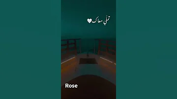 تملي معاك عمرو دياب حالات واتس اب ستوري انستا 