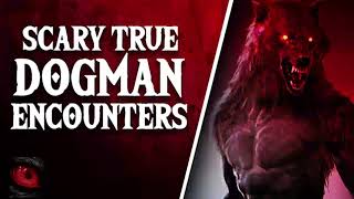 FARM MONSTERS - 8 DISTURBING AND CHILLING DOGMAN ENCOUNTERS   What Lurks Beneath
