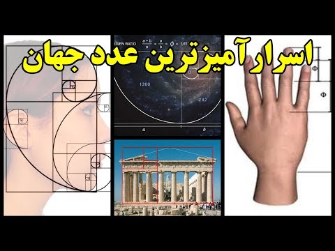 تصویری: عدد P و شماره گروه چیست؟