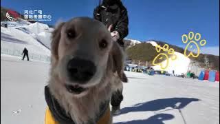 Download lagu Lily‘s ski vacation in Chongli！