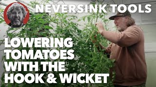 Lowering Tomatoes with the Hook and Wicket