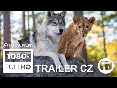 Video: Co symbolizuje hlavní vlk?