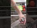 👉 Torneira com chuveiro 360° barata (vale a pena?) 😳💧