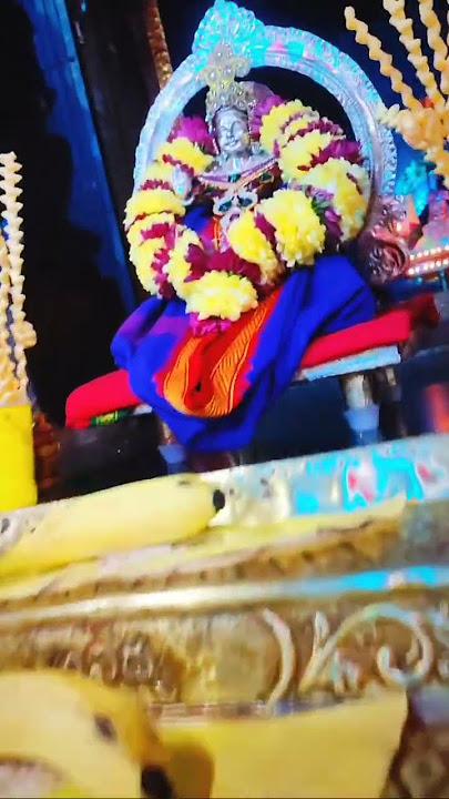 Sri swamiye Saranam Ayyappa Day 7 2#vibes #ayyappatemple #ayyappaswami #ayyappaswamy #ayyappan