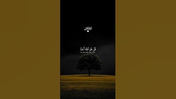 سورة الإخلاص… ارح قلبك 😴♡ | #قرآن #تلاوة_خاشعة #راحة_نفسية #تابعوني #اكسبلور #لايك
