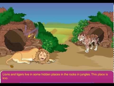 Homes of Animals - YouTube