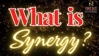 What is Synergy by Chris Alexander
