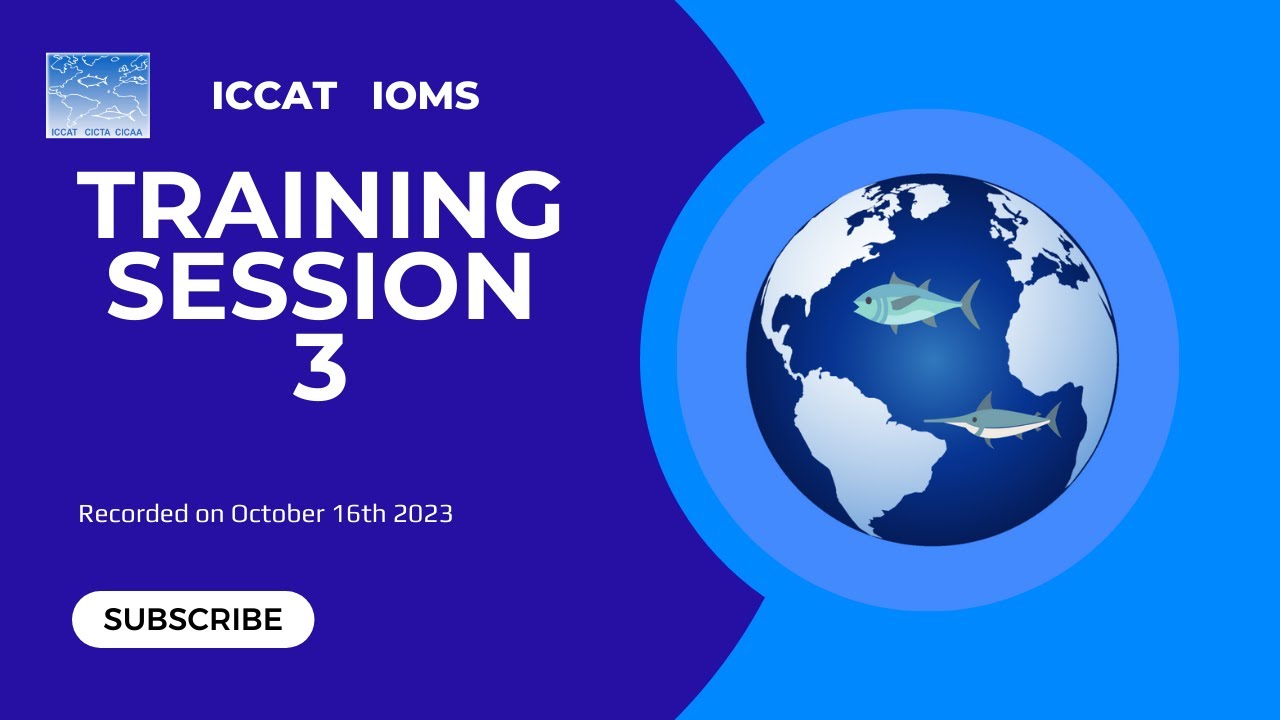Training Session 3 (Original voices) - YouTube