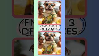 Find the Difference  틀린 그림 찾기 3개 도전 -  Illustration #QUIZ #PUZZLE #SHORTS #CARTON