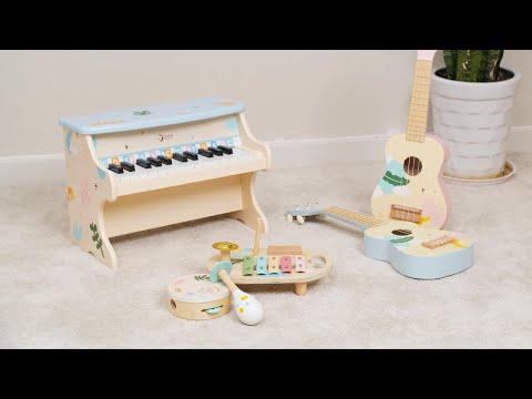 Набір дитячих музичних інструментів Classic World Іриси, 5 ел. (CW40559), видео 1