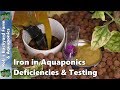 Iron in Aquaponics | Deficiencies Testing & Chelated Iron