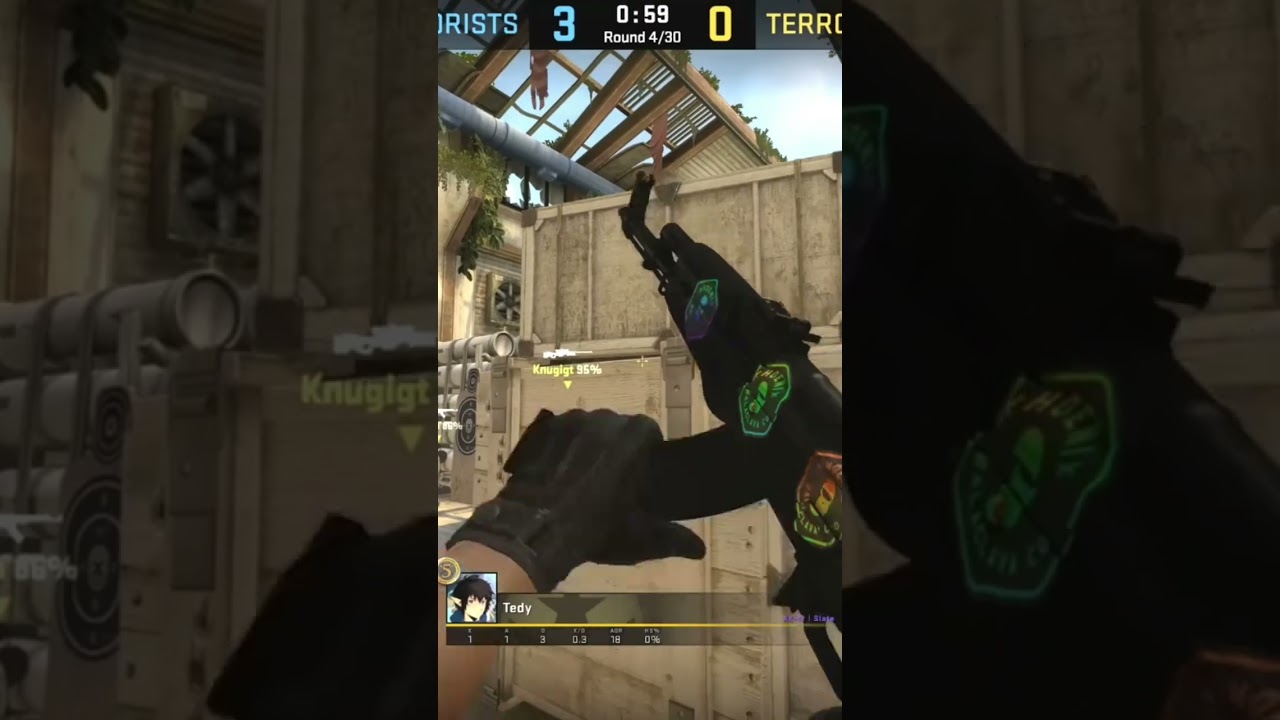 CS:GO Moments: part 1 