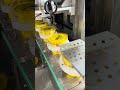 tamper evident band applicator with shrink tunnel