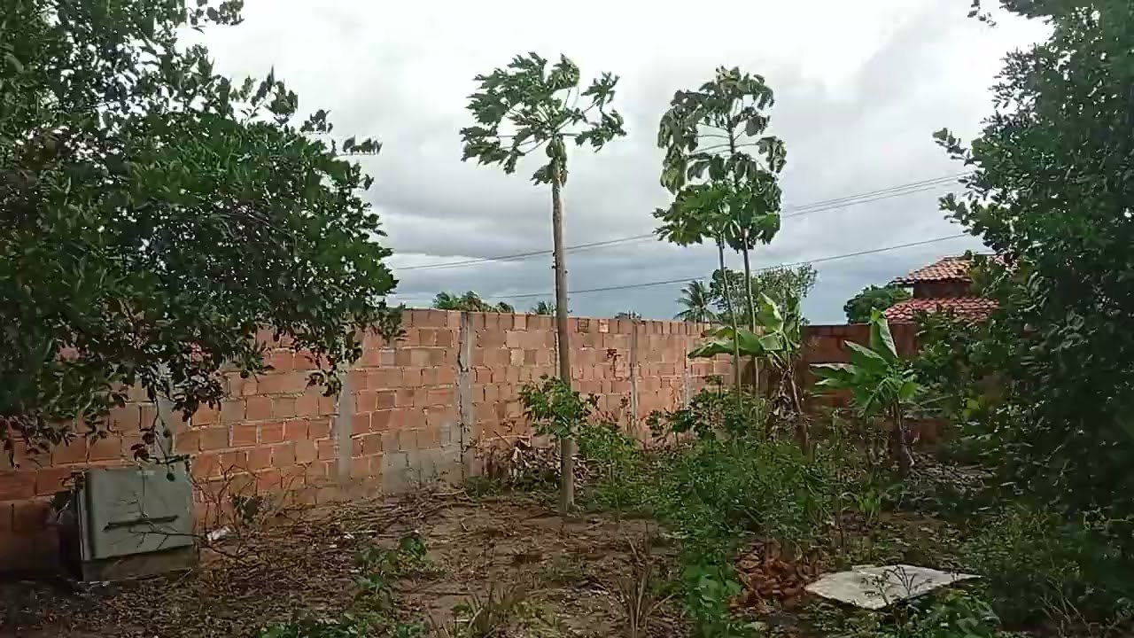 Quem é que não tem medo 