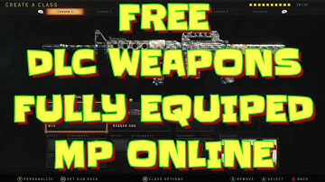 USE FREE DUPED DLC WEAPONS  FULLY EQUIPED ONLINE!!