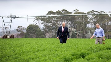 Agriculture sector could be excluded from national climate target