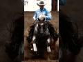 This isn’t riding… this is dominance 🔥 #shortsfeed #edit #trending #stallion #foryou #shorts