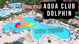 Aqua Club Dolphin Havuz İstanbul 4K