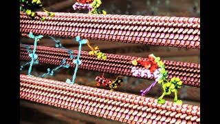 Darwin Defying Molecular Machines. Creation Evidence. Biblicaltours.