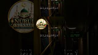 #hausaislamic #sunnah #sunnah #islamicreminder #musulunci #nurulsunnah #hausa #quran #waazi #goviral