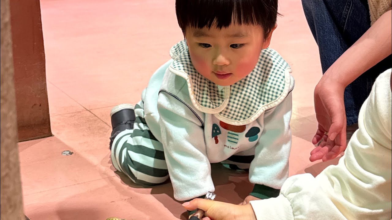 19개월 아기랑 후쿠오카 렌트카 온천여행 4박5일 일본#아기랑후쿠오카#19개월해외여행#fukuokajapan 