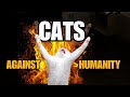 Cats vs Humanity 😂 Funniest Cat Attacks &amp; Chaos Compilation 🐱💥