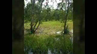 جديد الفنان مهدي الامين والعازف مجاهد شرشر جوبا البنيات الثلاثه سمعها