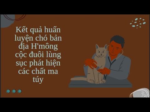 Video: Trái cây Citrus có hại cho chó không?